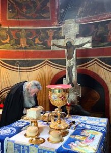 12784251_508486559323784_969935892_n